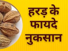 हरड़ के फायदे और नुकसान क्या हैं? | Harad ke Fayde aur Nuksan हरड़ के फायदे और नुकसान क्या हैं? | Harad ke Fayde aur Nuksan