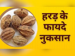 सेहत का अमृत है हरड़ (Haritaki), कब्ज, बवासीर, वजन घटाने में कमाल, जानें रोजाना हरड़ खाने के फायदे और नुकसान