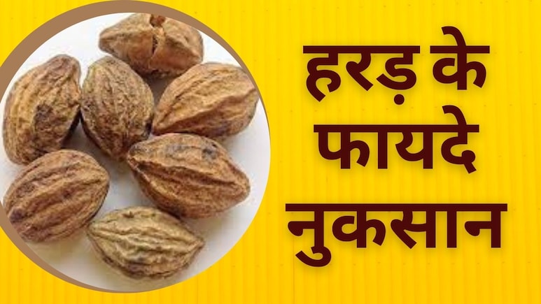 सेहत का अमृत है हरड़ (Haritaki), कब्ज, बवासीर, वजन घटाने में कमाल, जानें रोजाना हरड़ खाने के फायदे और नुकसान
