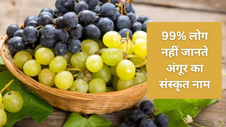 अंगूर का संस्कृत नाम क्या है? 99% लोगों को नहीं पता| Grapes Recipes