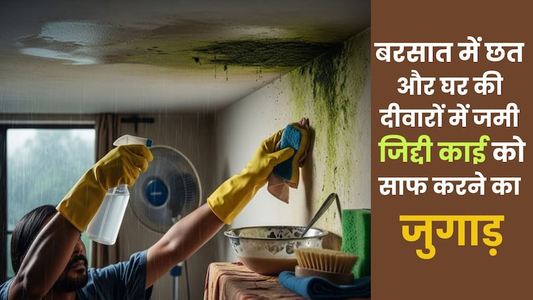 बरसात में दीवारों और छत की काई से मिल जाएगा छुटकारा, अपनाएं ये देसी जुगाड़