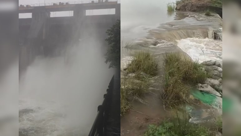 Rajasthan Rain: सितंबर में भी नहीं रूक रहा बारिश का कहर, कहीं बांध के गेट खुले तो कहीं टूटी पाल; गांवों में घुसा पानी Rajasthan Rain: सितंबर में भी नहीं रूक रहा बारिश का कहर, कहीं बांध के गेट खुले तो कहीं टूटी पाल; गांवों में घुसा पानी