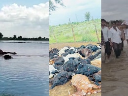 कहीं टूटा बांध तो कहीं ढह गया होटल, घुटनों तक पानी में शवयात्रा... राजस्थान में बारिश-बाढ़ से बुरा हाल कहीं टूटा बांध तो कहीं ढह गया होटल, घुटनों तक पानी में शवयात्रा... राजस्थान में बारिश-बाढ़ से बुरा हाल