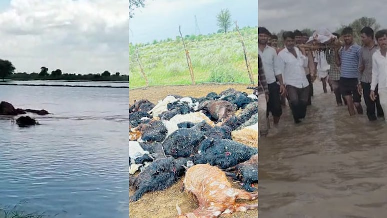 कहीं टूटा बांध तो कहीं ढह गया होटल, घुटनों तक पानी में शवयात्रा... राजस्थान में बारिश-बाढ़ से बुरा हाल कहीं टूटा बांध तो कहीं ढह गया होटल, घुटनों तक पानी में शवयात्रा... राजस्थान में बारिश-बाढ़ से बुरा हाल