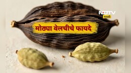 मोठ्या वेलचीचे 4 मोठे फायदे, 'या' लोकांसाठी आहे रामबाण, नक्की जाणून घ्या