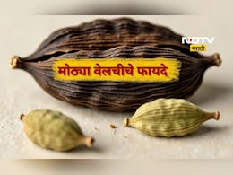 मोठ्या वेलचीचे 4 मोठे फायदे, 'या' लोकांसाठी आहे रामबाण, नक्की जाणून घ्या मोठ्या वेलचीचे 4 मोठे फायदे, 'या' लोकांसाठी आहे रामबाण, नक्की जाणून घ्या