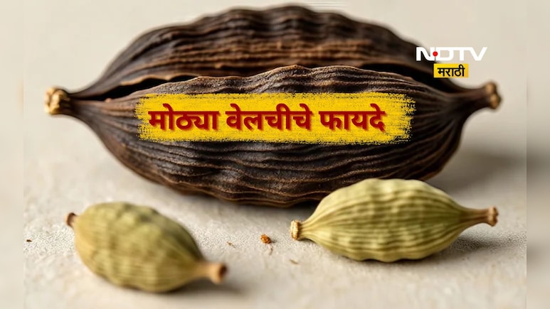 मोठ्या वेलचीचे 4 मोठे फायदे, 'या' लोकांसाठी आहे रामबाण, नक्की जाणून घ्या मोठ्या वेलचीचे 4 मोठे फायदे, 'या' लोकांसाठी आहे रामबाण, नक्की जाणून घ्या