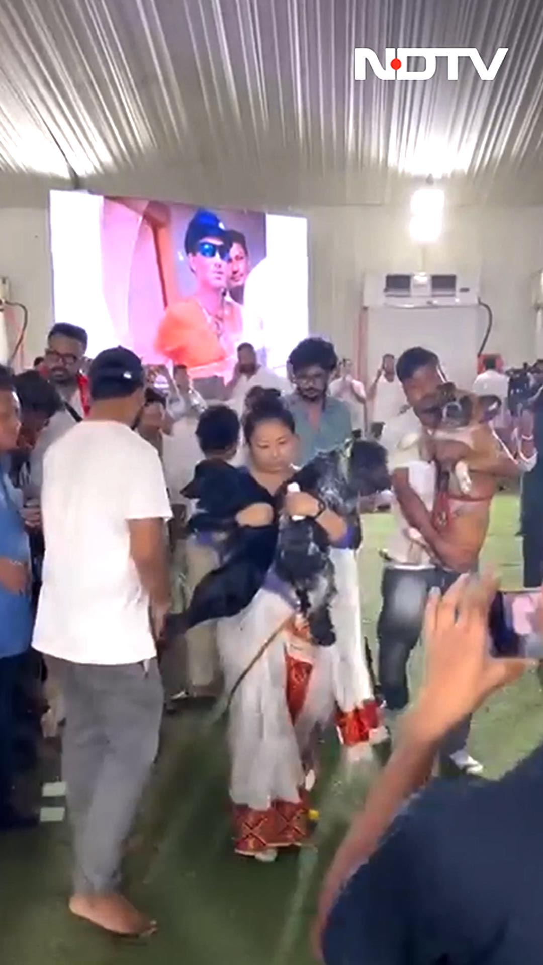 Zubeen Garg's Wife Takes Their Dogs To See His Coffin For Final Goodbye