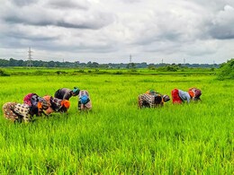 राजस्थान के किसानों के लिए खुशखबरी, इस तारीख को पीएम किसान योजना की 21वीं किस्त होगी जारी