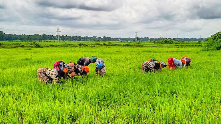 राजस्थान के किसानों के लिए खुशखबरी, इस तारीख को पीएम किसान योजना की 21वीं किस्त होगी जारी