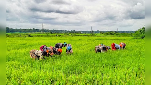 10 हजार से ज्यादा किसानों-मजदूरों ने 2023 में की खुदकुशी, NCRB के आंकड़ों में चौंकाने वाले खुलासे