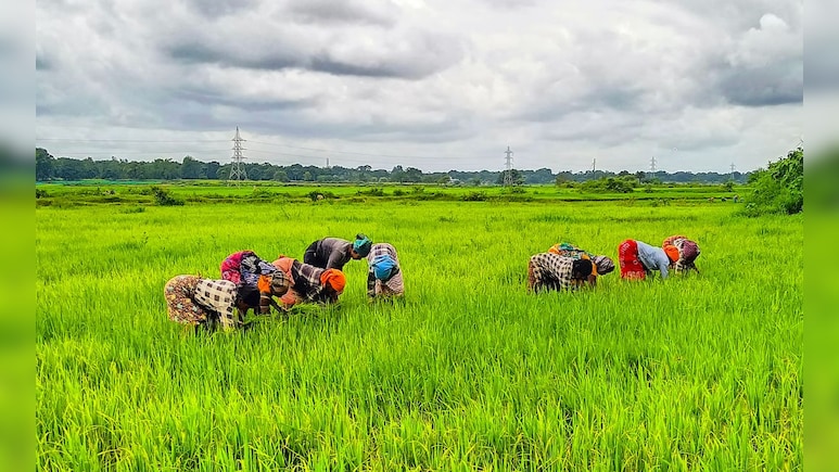10 हजार से ज्यादा किसानों-मजदूरों ने 2023 में की खुदकुशी, NCRB के आंकड़ों में चौंकाने वाले खुलासे