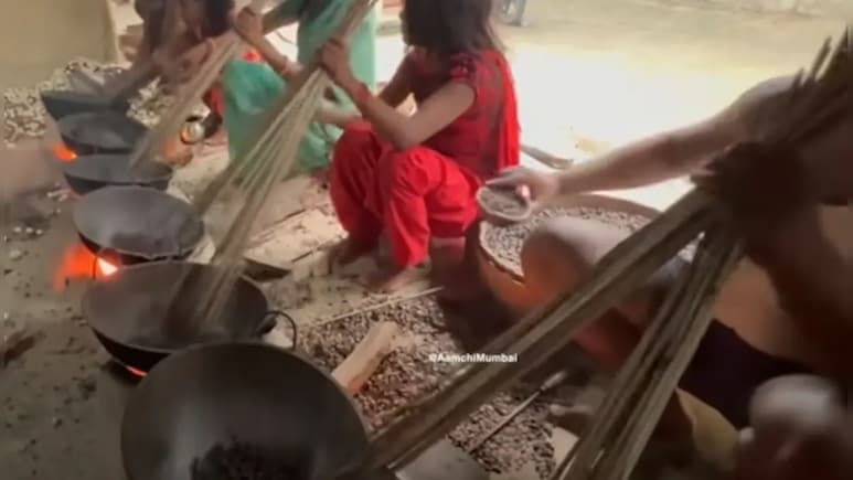 Makhana Sales Up In Bihar, But Life Yet To Improve For Farmers Makhana Sales Up In Bihar, But Life Yet To Improve For Farmers