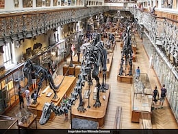 Gold Worth $700,000 Stolen In Paris' Natural History Museum Gold Worth $700,000 Stolen In Paris' Natural History Museum