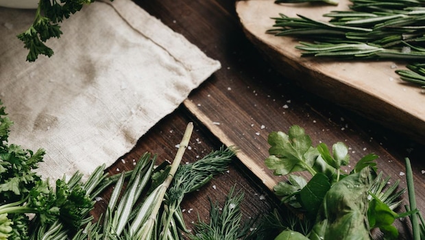 9 Kitchen Herbs You Can Easily Grow At Home Even If You Don't Have A Garden