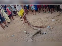 VIDEO: बिहार के बांका में घर के छप्पर पर मिला अजगर, ग्रामीणों में दहशत VIDEO: बिहार के बांका में घर के छप्पर पर मिला अजगर, ग्रामीणों में दहशत