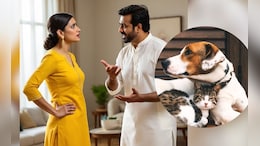 पति को छोड़ दूंगी, बिल्ली को नहीं... कोर्ट में बोली पत्नी, पेट लवर्स दंपती के बीच तलाक की वजह बने Dog-Cat