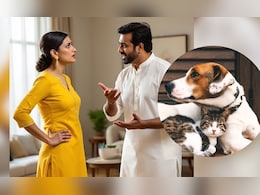 पति को छोड़ दूंगी, बिल्ली को नहीं... कोर्ट में बोली पत्नी, पेट लवर्स दंपती के बीच तलाक की वजह बने Dog-Cat पति को छोड़ दूंगी, बिल्ली को नहीं... कोर्ट में बोली पत्नी, पेट लवर्स दंपती के बीच तलाक की वजह बने Dog-Cat