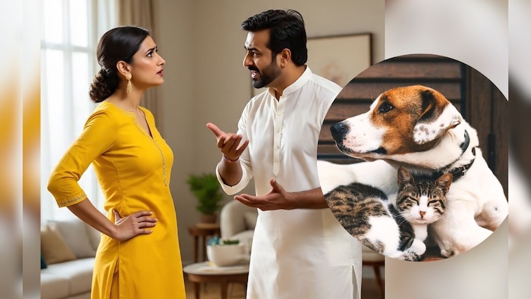 पति को छोड़ दूंगी, बिल्ली को नहीं... कोर्ट में बोली पत्नी, पेट लवर्स दंपती के बीच तलाक की वजह बने Dog-Cat पति को छोड़ दूंगी, बिल्ली को नहीं... कोर्ट में बोली पत्नी, पेट लवर्स दंपती के बीच तलाक की वजह बने Dog-Cat