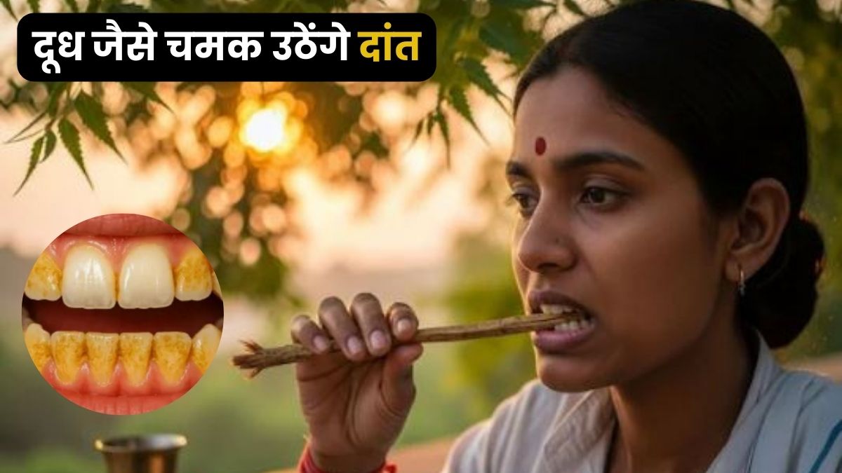 टूथब्रश छोड़िए, मिनटों में पीले दांतों को मोती सा चमका देगा दातुन, आयुर्वेद में बताए गए हैं कई चमत्कारी फायदे