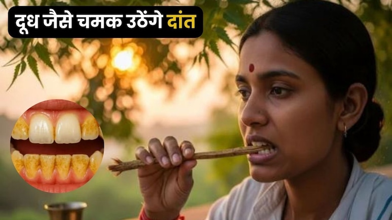 टूथब्रश छोड़िए, मिनटों में पीले दांतों को मोती सा चमका देगा दातुन, आयुर्वेद में बताए गए हैं कई चमत्कारी फायदे