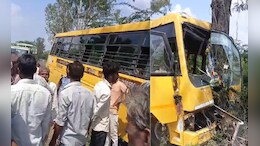 बच्चों से भरी स्कूल बस पेड़ से टकराई, हादसे के बाद मची चीख पुकार
