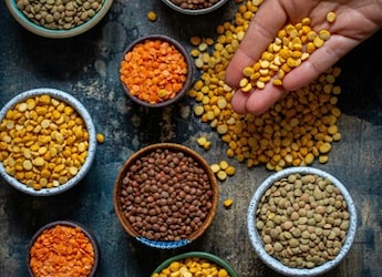 Urad, Masoor, Moong, Chana: Which Dal Has The Most Protein?