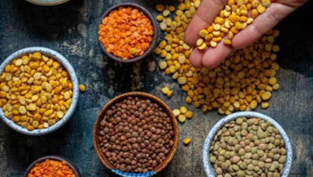 Urad, Masoor, Moong, Chana: Which Dal Has The Most Protein?