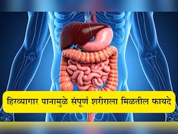 Betel Leaves Benefits: 5 रुपयांचे हिरवेगार पान तुमच्यासाठी अमृतासमान ठरेल, वर्षानुवर्षे शरीर राहील तरुण Betel Leaves Benefits: 5 रुपयांचे हिरवेगार पान तुमच्यासाठी अमृतासमान ठरेल, वर्षानुवर्षे शरीर राहील तरुण