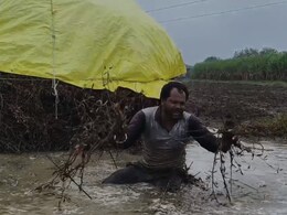 सब बर्बाद, अब जीऊं कैसे... भारी बारिश में बह गई फसल तो किसान का छलका दर्द, रोते हुए बताई अपनी पीड़ा सब बर्बाद, अब जीऊं कैसे... भारी बारिश में बह गई फसल तो किसान का छलका दर्द, रोते हुए बताई अपनी पीड़ा