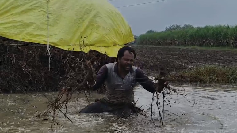 सब बर्बाद, अब जीऊं कैसे... भारी बारिश में बह गई फसल तो किसान का छलका दर्द, रोते हुए बताई अपनी पीड़ा सब बर्बाद, अब जीऊं कैसे... भारी बारिश में बह गई फसल तो किसान का छलका दर्द, रोते हुए बताई अपनी पीड़ा
