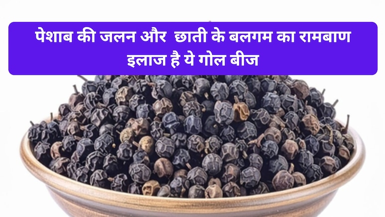 काली मिर्च जैसी दिखने वाली ये गोल चीज असल में है 'चीनी', बवासीर से लेकर आंतों की सूजन तक दूर करने में है कारगर काली मिर्च जैसी दिखने वाली ये गोल चीज असल में है 'चीनी', बवासीर से लेकर आंतों की सूजन तक दूर करने में है कारगर