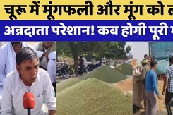 Churu News: Groundnut और Moong को लेकर अन्नदाता परेशान ! | Rajasthan Top News | Latest News