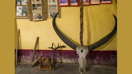 How A Tiny Village In Assam Became India's Black Magic Capital, Complete With A Museum