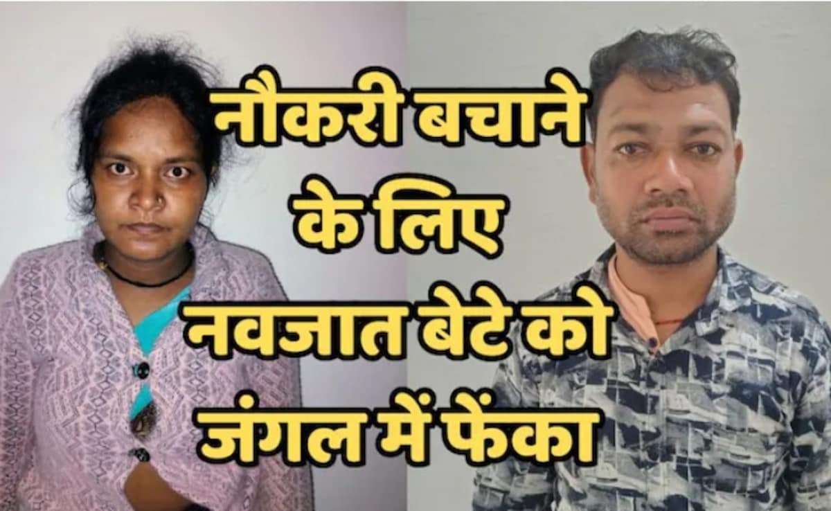 MP News MP News