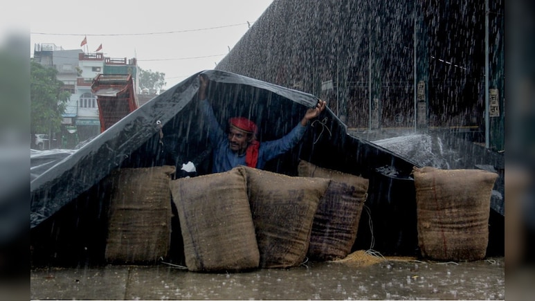 बारिश में बर्बाद धान, बस करो भगवान! दिल चीर रही अन्नदाता की ये तस्वीर