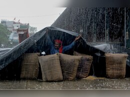 बारिश में बर्बाद धान, बस करो भगवान! दिल चीर रही अन्नदाता की ये तस्वीर बारिश में बर्बाद धान, बस करो भगवान! दिल चीर रही अन्नदाता की ये तस्वीर