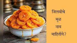 What Is Jalebi's English Name: जिलबीला इंग्लिशमध्ये काय म्हणतात? नाव ऐकून डोकं फिरेल गोलगोल
