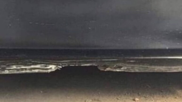 Optical illusion Test : फोटोत समुद्रकिनारा दिसतोय? पण तो समुद्र नाही..क्लिक करून नीट बघा!