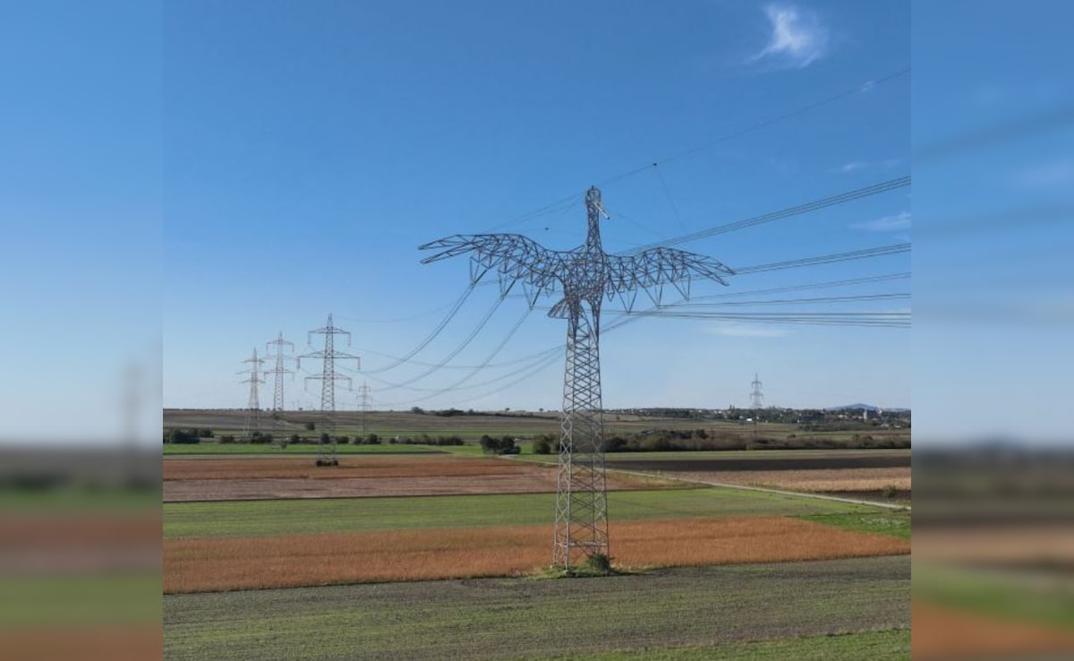 Latest and Breaking News on NDTV