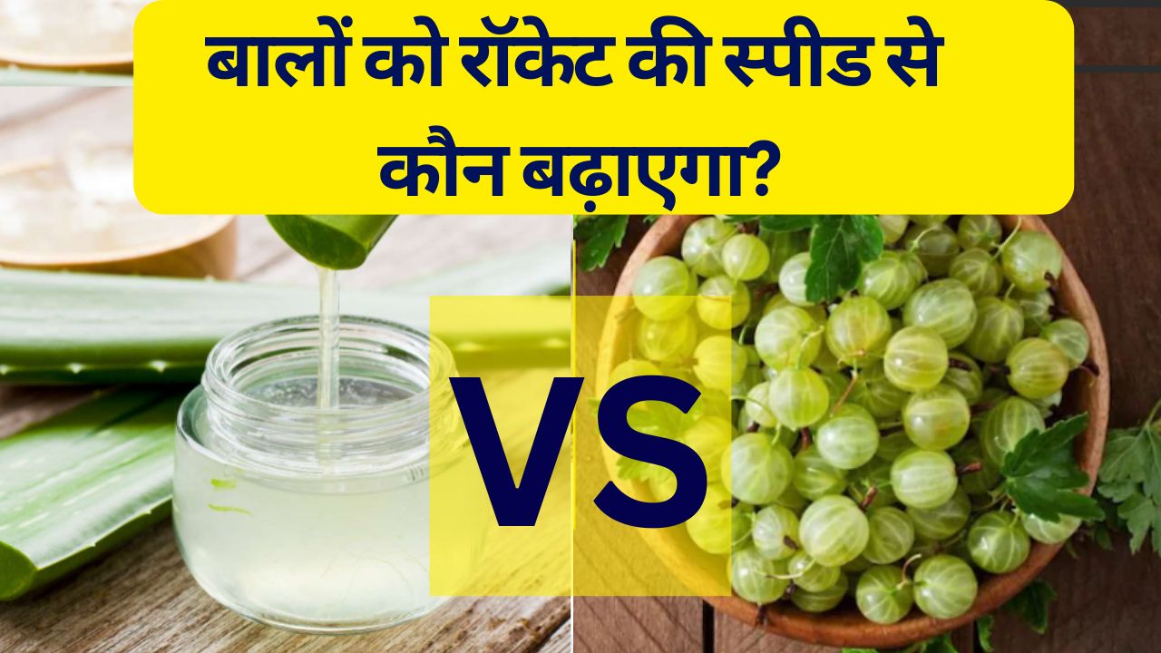 बालों को रॉकेट की स्पीड से कौन बढ़ाएगा, आंवला या एलोवेरा? बालों को घना और लंबा करने के लिए क्‍या लगाएं