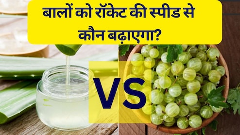 बालों को रॉकेट की स्पीड से कौन बढ़ाएगा, आंवला या एलोवेरा? बालों को घना और लंबा करने के लिए क्‍या लगाएं