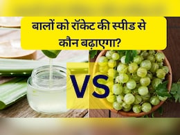 बालों को रॉकेट की स्पीड से कौन बढ़ाएगा, आंवला या एलोवेरा? बालों को घना और लंबा करने के लिए क्या लगाएं बालों को रॉकेट की स्पीड से कौन बढ़ाएगा, आंवला या एलोवेरा? बालों को घना और लंबा करने के लिए क्या लगाएं