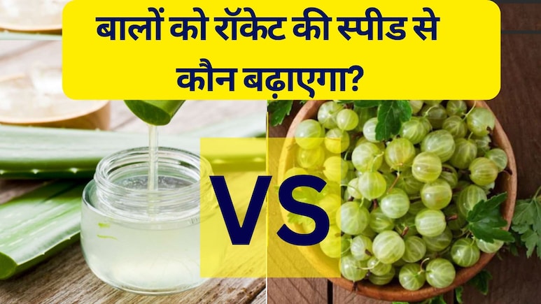 बालों को रॉकेट की स्पीड से कौन बढ़ाएगा, आंवला या एलोवेरा? बालों को घना और लंबा करने के लिए क्या लगाएं बालों को रॉकेट की स्पीड से कौन बढ़ाएगा, आंवला या एलोवेरा? बालों को घना और लंबा करने के लिए क्या लगाएं