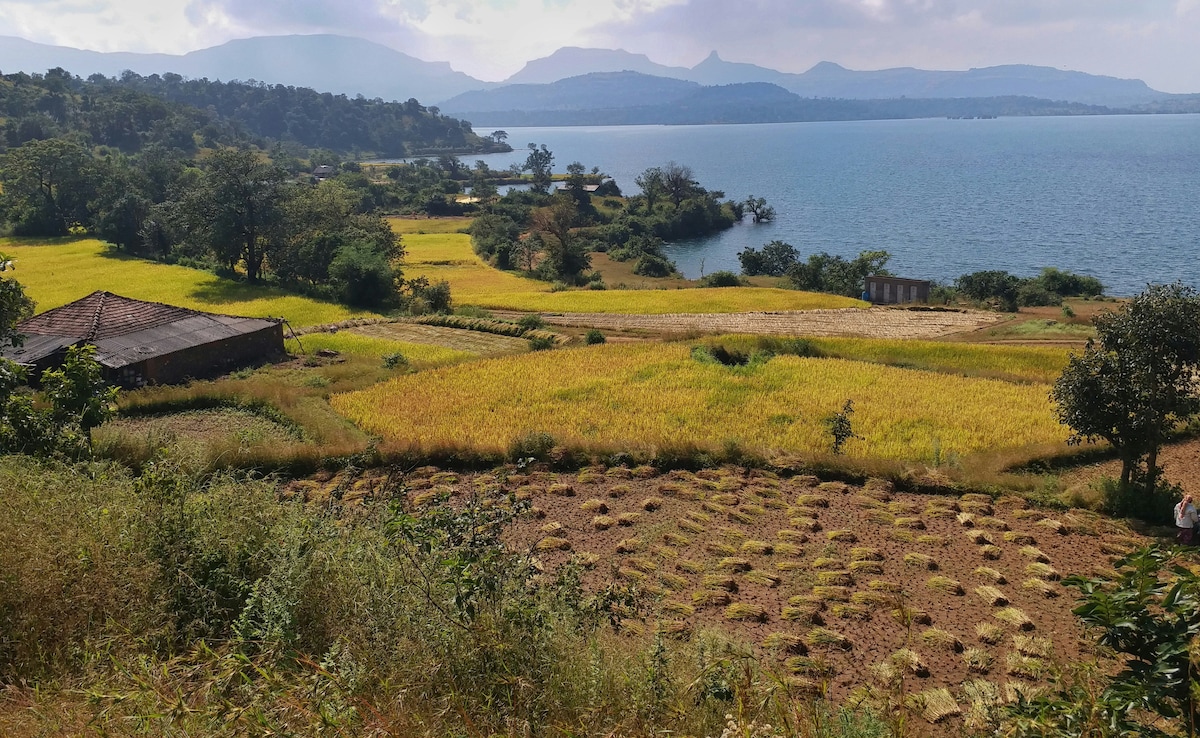 Latest and Breaking News on NDTV Latest and Breaking News on NDTV