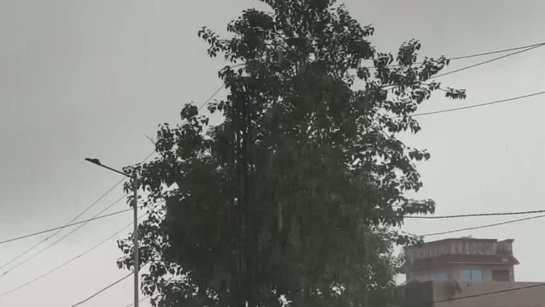 Rajasthan Rain: राजस्थान में नए पश्चिमी विक्षोभ ने बिगाड़ा मौसम, जयपुर से कोटा तक तूफानी बारिश; जानें कब तक मिलेगी राहत Rajasthan Rain: राजस्थान में नए पश्चिमी विक्षोभ ने बिगाड़ा मौसम, जयपुर से कोटा तक तूफानी बारिश; जानें कब तक मिलेगी राहत