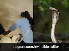 'Snake Girl' Ajita Pandey Rescues Cobra, Warns Public In Viral Video