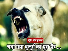 Dog Bite: नोंच-नोंच कर डॉगी खा गया महिला का पूरा पैर, ग्वालियर से आई दिल दहलाने वाली तस्वीर Dog Bite: नोंच-नोंच कर डॉगी खा गया महिला का पूरा पैर, ग्वालियर से आई दिल दहलाने वाली तस्वीर