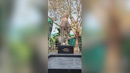 "Is This Gandhiji?" Controversial 'Abstract' Statue in Kerala Sparks Uproar