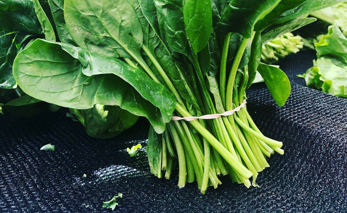 पालक में कौन सा Vitamin होता है सबसे ज्यादा?